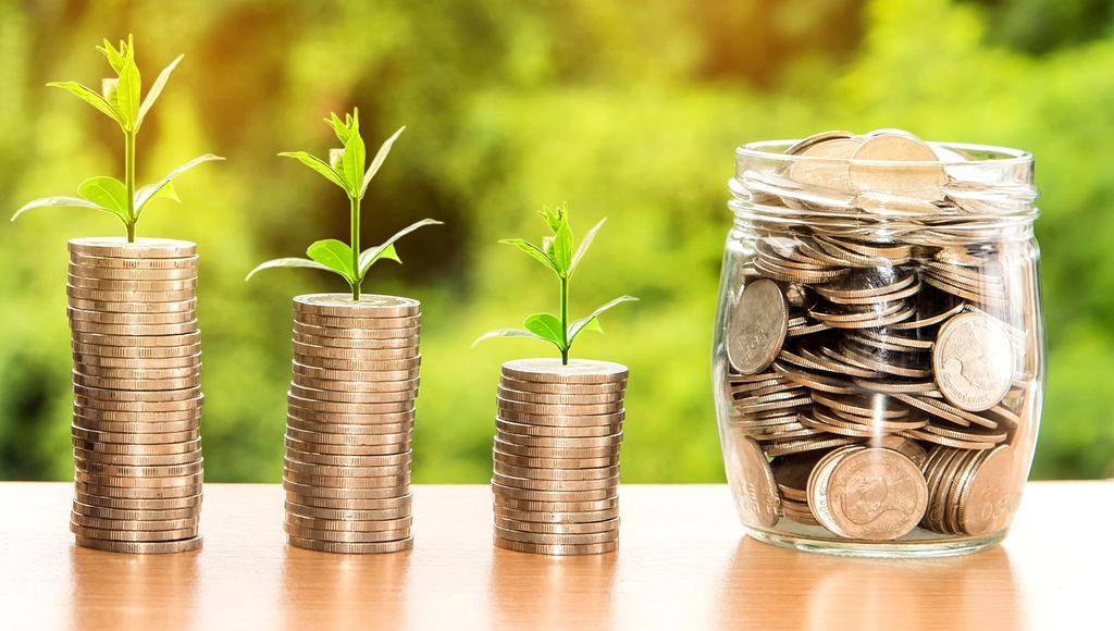 financial literacy/budget allocation